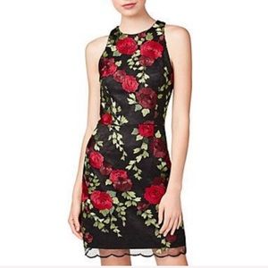 Betsey Johnson Embroidered Overlay Dress